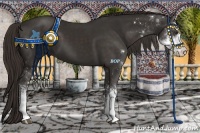 Horse Color:Liver Chestnut Sabino 