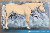 Horse Color:Silver Amber Cream Champagne Dun 