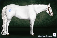 Horse Color:White Spotted Silver Grullo Ice Pearl Sabino Appaloosa Rabicano