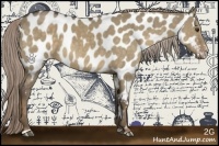 Horse Color:Chocolate Palomino Dun Sabino Appaloosa 