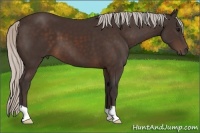 Horse Color:Silver Brown 