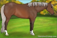 Horse Color:Silver Brown 