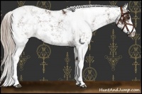 Horse Color:Liver Chestnut Sabino