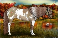 Horse Color:White Spotted Liver Red Dun Varnish 