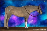 Horse Color:Chocolate Palomino