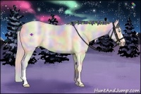 Horse Color:Nacre Cremello 