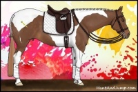 Horse Color:Chestnut Tobiano 