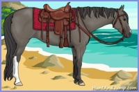 Horse Color:Smoky Grullo