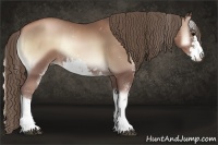 Horse Color:Blue Onyx Pearl Sabino Rabicano
