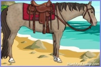 Horse Color:Classic Champagne 