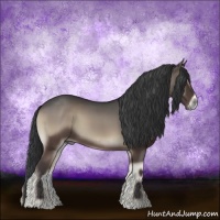 Horse Color:Blue Onyx Rabicano