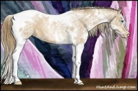 Horse Color:Liver Chestnut Pearl Splash Tobiano 