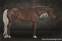 Horse Color:Silver Bay 