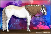 Horse Color:Red Dun Pearl Splash 