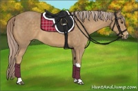 Horse Color:Palomino 