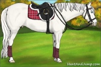 Horse Color:White Spotted Cremello Dun