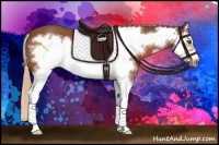 Horse Color:White Spotted Chestnut Splash Frame
