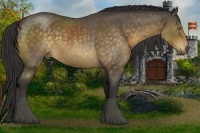 Horse Color:Buckskin Roan Sabino Rabicano 