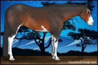 Horse Color:Brown Sabino