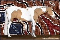 Horse Color:Silver Bay Dun Splash Tobiano 