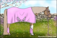 Horse Color:Palomino