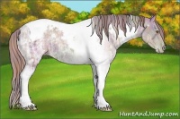 Horse Color:Nacre White Spotted Brown Ice Pearl Tobiano Rabicano