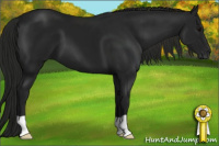 Horse Color:Gray Black 