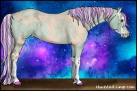 Horse Color:Painted Watercolor Chocolate Palomino Ice Roan Dun Splash 