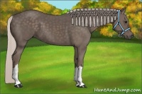 Horse Color:Silver Black 