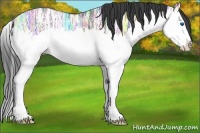 Horse Color:Grullo Ice Sabino Splash 