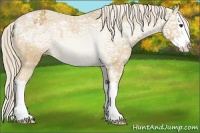 Horse Color:Palomino Ice Sabino Splash Varnish