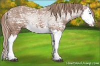 Horse Color:Chestnut Ice Splash Varnish 