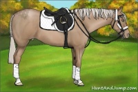 Horse Color:Silver Black Pearl 