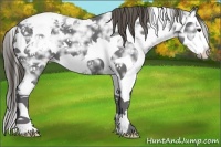 Horse Color:Smoky Black Ice Sabino Splash Varnish