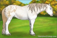 Horse Color:Chestnut Ice Pearl Sabino Splash Varnish Rabicano 