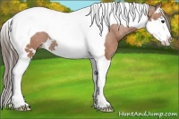 Horse Color:Bay Splash Tobiano Varnish 