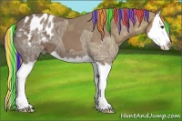 Horse Color:Painted Chestnut Ice Sabino Splash Appaloosa
