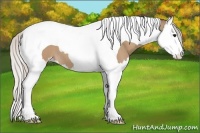 Horse Color:Silver Bay Dun Splash Tobiano