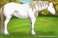 Horse Color:Painted Bay Ice Sabino Splash Tobiano Appaloosa 