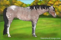 Horse Color:Brown Ice Roan Varnish Rabicano 