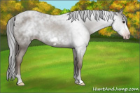 Horse Color:Gray Classic Champagne Frame 