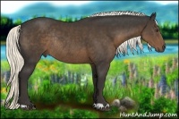 Horse Color:Liver Chestnut Rabicano