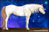 Horse Color:Amber Champagne Pearl Tobiano Snowcap 