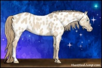 Horse Color:Smoky Creme Dun Near Leopard Brindle 