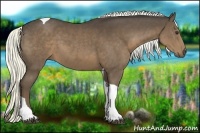 Horse Color:Liver Chestnut Sabino Tobiano Rabicano