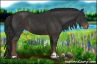 Horse Color:Liver Chestnut Sabino Varnish