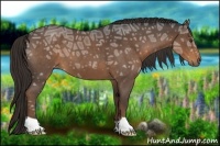 Horse Color:Liver Red Ice Roan