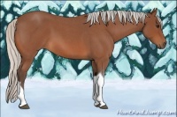 Horse Color:Silver Bay Roan Tobiano