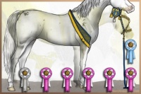 Horse Color:Liver Chestnut Sabino Splash 