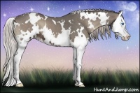 Horse Color:White Spotted Silver Blue Onyx Splash